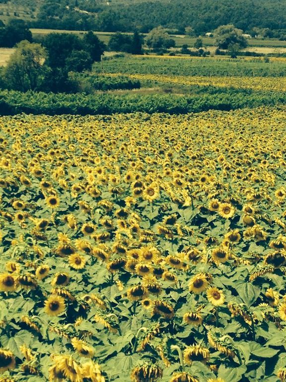 Tre Girasoli Monte San Savino Szoba fotó