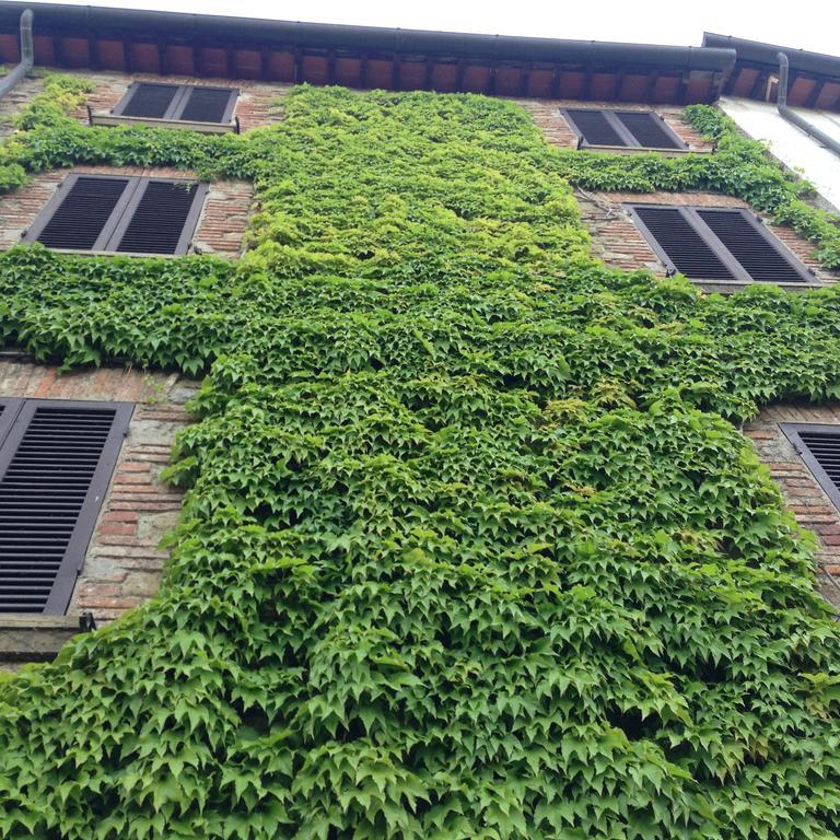 Tre Girasoli Monte San Savino Kültér fotó