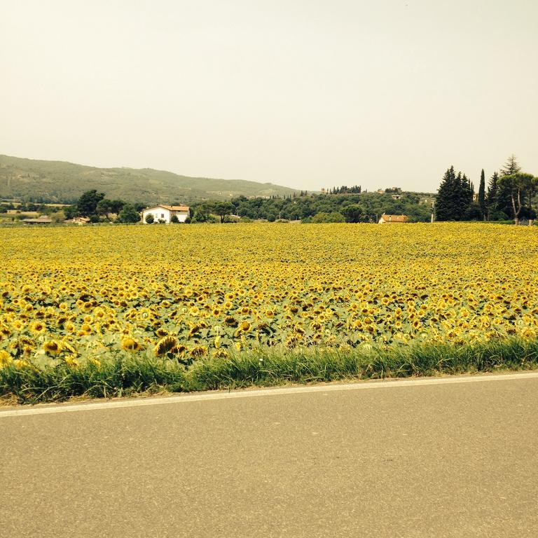Tre Girasoli Monte San Savino Kültér fotó